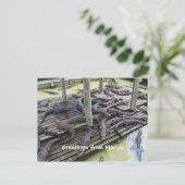 Veel baby alligators briefkaart (Staand voorkant)