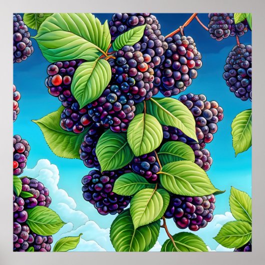 Veel blackberry fruit schilderij. poster (Voorkant)