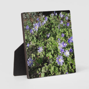 Veel bloemen fotoplaat