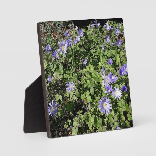 Veel bloemen fotoplaat (Voorkant)