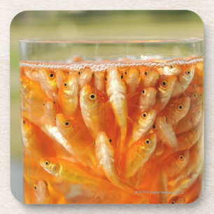 Veel goudvis in de glazen container bier onderzetter