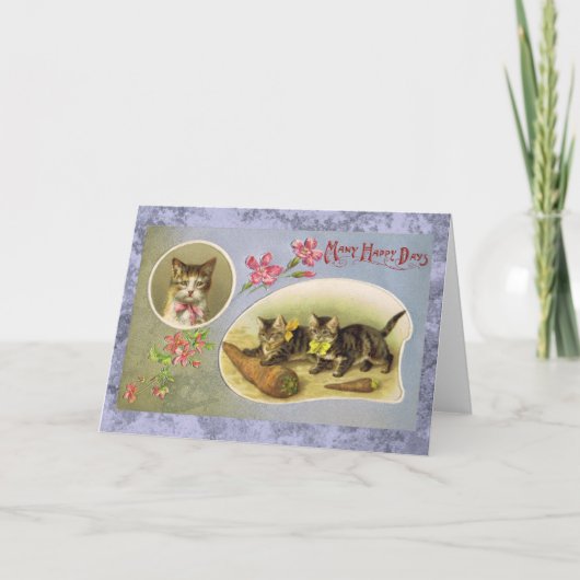 Veel Happy Days  Cat Kaart (Voorkant)