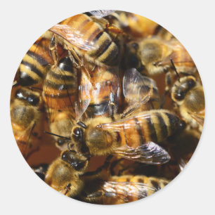 Veel honingbijen ronde sticker