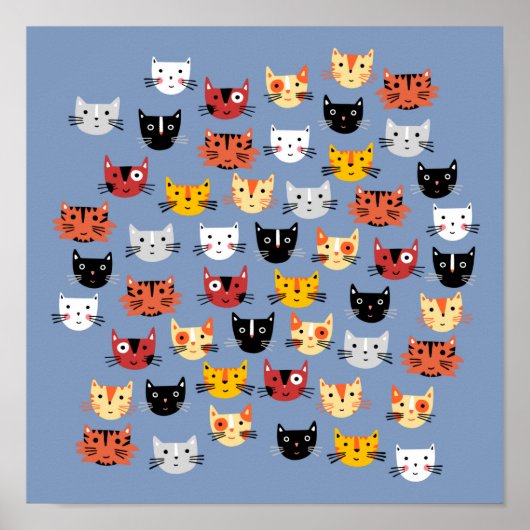 Veel Kitty Katten Poster (Voorkant)