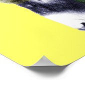 Veel kleuren Burro Poster (Hoek)