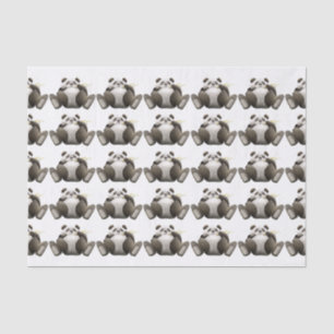 Veel luie panda's tissuepapier