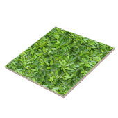 Veel mooie groene bladeren tegeltje (Zijkant)
