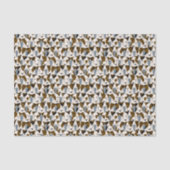 veel Parson Jack Russell Terriers patroon Tissuepapier (Voorkant)