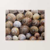 Veel slakkenschalen legpuzzel (Horizontaal)