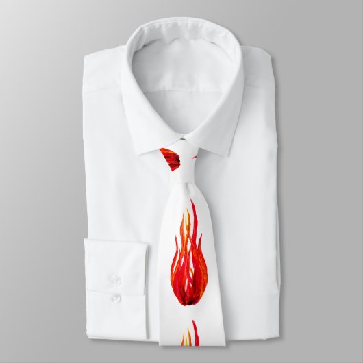 Veel Stropdas (Gebonden)