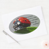 Veel succes lieveheersbeestje ovale Stickers (Envelop)
