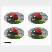 Veel succes lieveheersbeestje ovale Stickers (Vel)