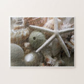 Veel zeeschelpen legpuzzel (Horizontaal)