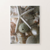 Veel zeeschelpen legpuzzel (Verticaal)