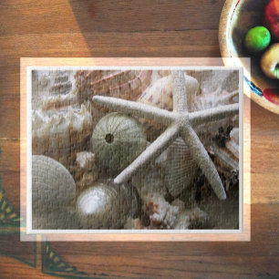Veel zeeschelpen legpuzzel