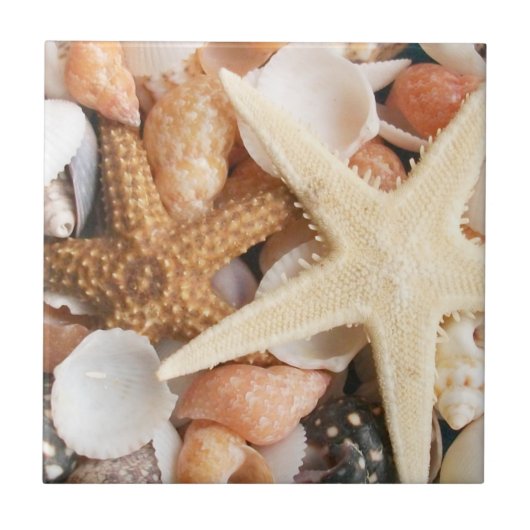 Veel zeeschelpen tegeltje (Voorkant)