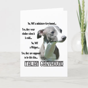 Veelgestelde vragen over de Italiaanse Greyhound Kaart