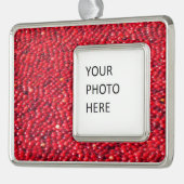 Veenbessen feestelijk rood verzilverd kader ornament (Links)