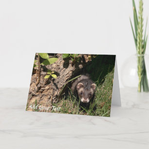 Veer baby's. Sable Ferretten Feestdagen Kaart