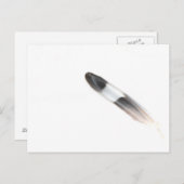 Veer Briefkaart (Voorkant / Achterkant)