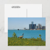 veer in de vuilnisbak briefkaart (Voorkant / Achterkant)