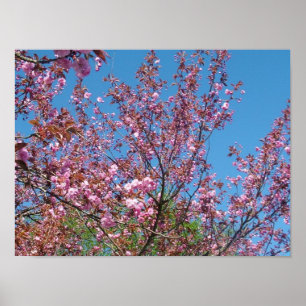 veer - kersen bloedige boom in de blauwe hemel poster