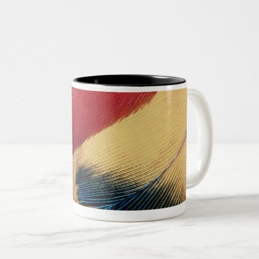 Veer oppervlak 3 tweekleurige koffiemok (Voorkant rechts)