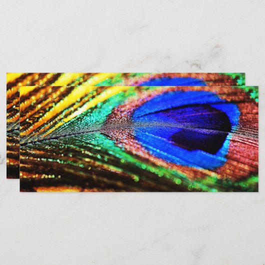 Veer van Shirley Taylor (Voorkant / Achterkant)