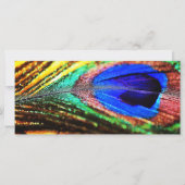 Veer van Shirley Taylor (Voorkant)