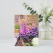 Veerbloeiende sierkool briefkaart (Staand voorkant)