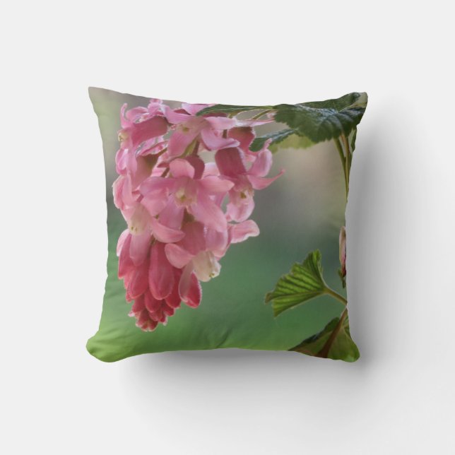 veerbloemen, easter, spring, natuur, roze kussen (Voorkant)