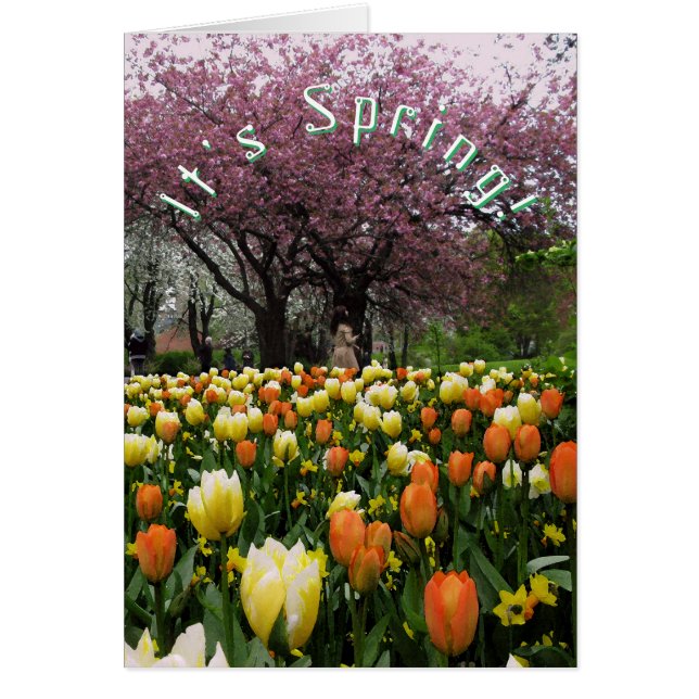 Veerbloemen en bloesem Aangepaste tekst (Voorkant)