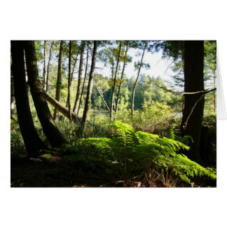 veerboten bij het farr - meer