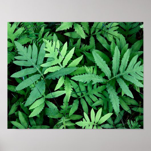 veerboten: Canvas— Poster (Voorkant)