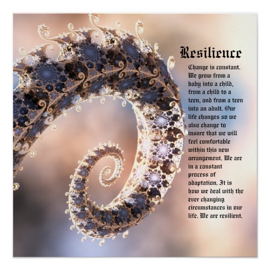 veerkracht perfect poster (Voorkant)