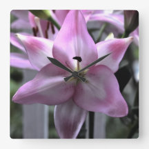 veerkracht van bloemen