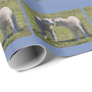 Veerlambs- omslagpapier cadeaupapier