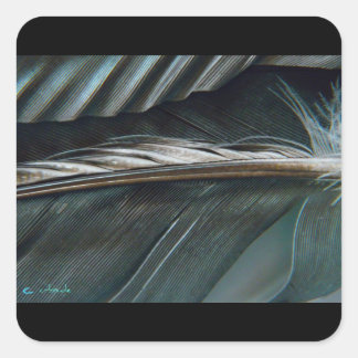 veersticker vierkante sticker