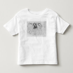 Veertien fretten uit het Album Vallardi Kinder Shirts