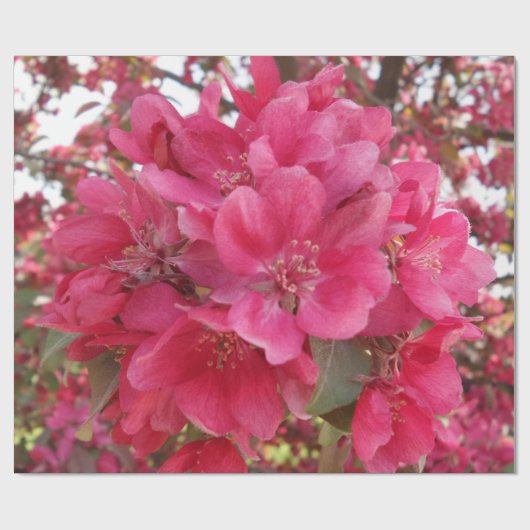 Veertijd langwerpend papier (Vlak)