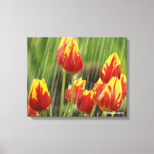 Veertulpen Canvas Afdruk