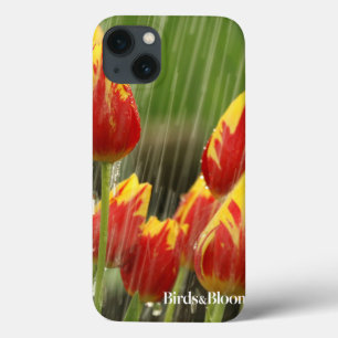 Veertulpen iPhone 13 Hoesje