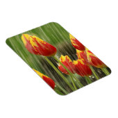 Veertulpen Magneet (Rechterzijde)