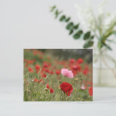 Veerveld met rode papaver briefkaart (Staand voorkant)