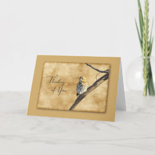 Veery sur une branche - Carte Pensée pour toi