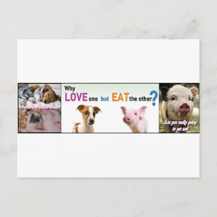 Vegan Gear Wat is het verschil? Briefkaart