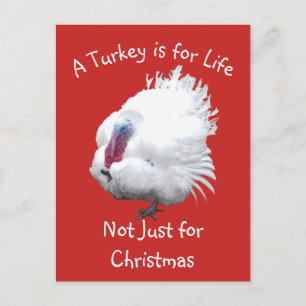 Vegan KerstTurkey Briefkaart