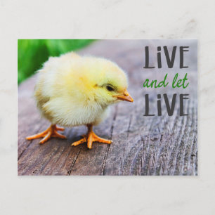 Vegan "Leef en laat leven" met schattig chick Briefkaart