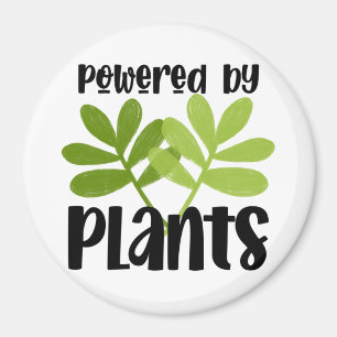 Vegan Plant Gebaseerd Magnet Magneet