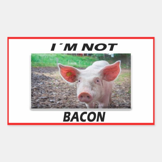 Vegan | Stickers activistes | Enregistrer les anim (Devant)